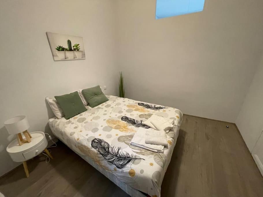 Apartament Cosy T3 Proche Gare Et Polygone Béziers Zewnętrze zdjęcie