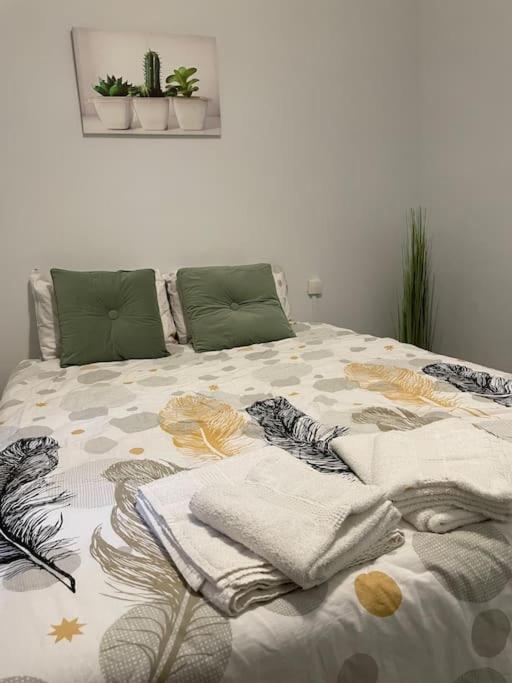 Apartament Cosy T3 Proche Gare Et Polygone Béziers Zewnętrze zdjęcie