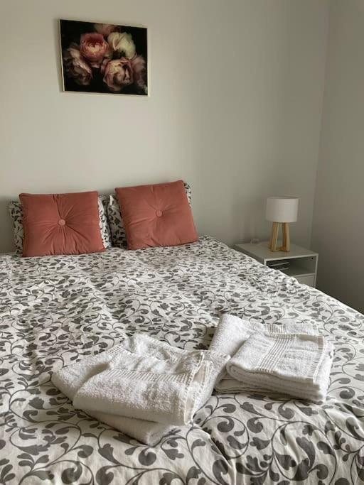 Apartament Cosy T3 Proche Gare Et Polygone Béziers Zewnętrze zdjęcie